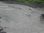 Sweden 2006-04 145